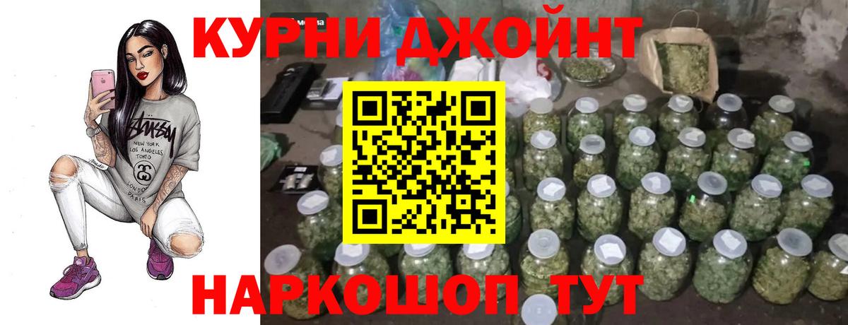 Конопля планчик Аргун